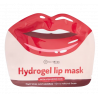 Hydrogel- Maschera Labbra